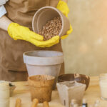 West Elm Shelter Sleeper Sofa — An Honest Review